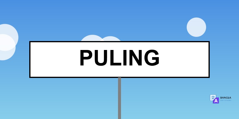 Puling Meaning in Bengali | Definition & Usage