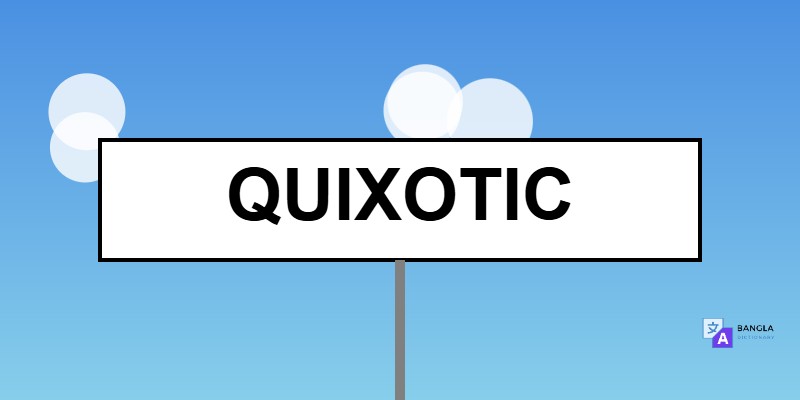Quixotic Meaning in Bengali | Definition & Usage