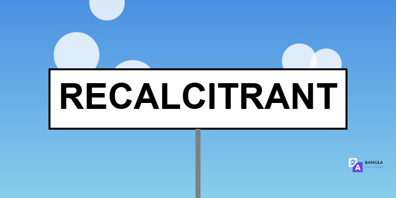 Recalcitrant Meaning in Bengali | Definition & Usage
