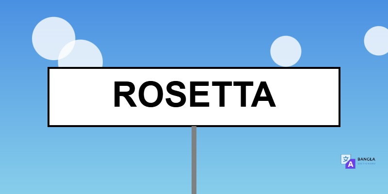 Rosetta Meaning in Bengali | Definition & Usage