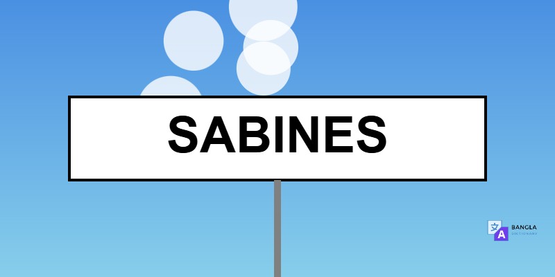 Sabines Meaning in Bengali | Definition & Usage