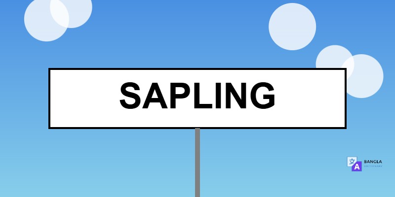 Sapling Meaning in Bengali | Definition & Usage