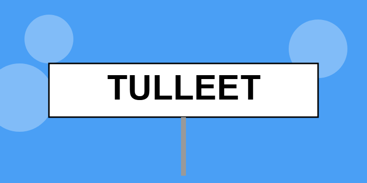 Tulleet Meaning in Bengali | Definition & Usage